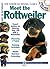 Meet the Rottweiler (CompanionHouse Books) Breed Details and Expert Advice on House-Training, Health, Activities, Grooming, Toys, Treats, Choosing a Puppy, and More (AKC Meet the Breed Series)