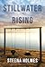 Stillwater Rising by Steena Holmes