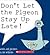 Don't Let the Pigeon Stay Up Late! by mo-willems