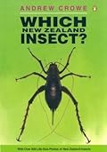 Which New Zealand Insect?