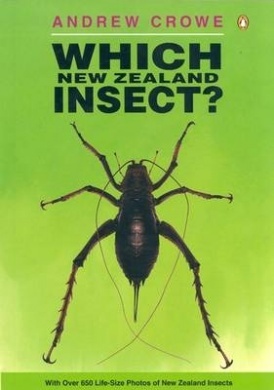 Which New Zealand Insect? (Which series?)