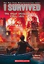 I Survived the Great Chicago Fire, 1871 (I Survived, #11)