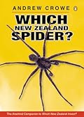 Which New Zealand Spider?