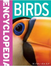 Mini Encyclopedia Birds (Paperback)
