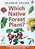 Which Native Forest Plant?: A Simple Guide to the Identification of New Zealand Native Forest Shrubs, Climbers, and Flowers