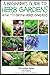 A Beginner’s Guide to Herb ...