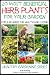 20 Most Beneficial Herb Plants for Your Garden