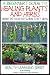 A Beginner’s Guide to Healing Plants and Herbs: Herbs in Your Kitchen that Heal