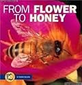 From Flower To Honey