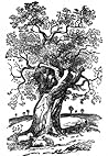 El árbol