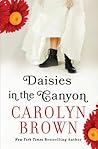Daisies in the Canyon by Carolyn Brown