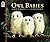 Owl Babies