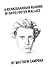 A Kierkegaardian Reading of David Foster Wallace