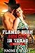 Flames Burn Hotter in Texas - Volume 3: Western Erotic Romance