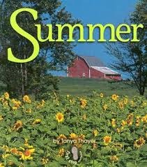 Summer (First Step Nonfiction: Seasons)