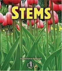 Stems (First Step Nonfiction: Parts of Plants)