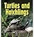 Turtles and Hatchlings (First Step Nonfiction: Animal Families)