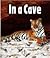 In a Cave (First Step Nonfiction: Animal Homes)