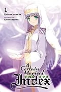 とある魔術の禁書目録 A Certain Magical Index とある魔術の禁書目録 [Toaru Majutsu no Index] (Novel) Series