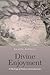 Divine Enjoyment: A Theology of Passion and Exuberance