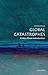 Global Catastrophes: A Very Short Introduction (Very Short Introductions;Very Short Introductions;Very Short Introductions)