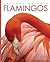 Flamingos