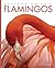 Flamingos (Amazing Animals)