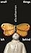small things left behind by Ella Zeltserman small things left behind by Ella Zeltserman