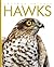 Hawks (Amazing Animals)