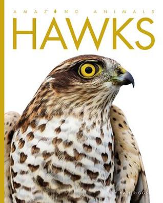 Hawks (Amazing Animals)