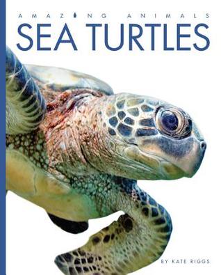 Sea Turtles (Amazing Animals)
