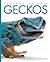 Geckos