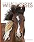 Wild Horses (Amazing Animals)