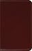 Holy Bible by Various