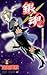 Gin Tama, Vol. 25 (Gin Tama, #25)