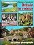 Picture Book of Britain in Colour