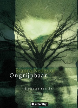 Ongrijpbaar (ebook)
