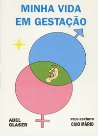 Minha Vida em Gestação