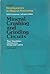 Mineral Crushing and Grinding Circuits: Their Simulation, Optimisation, Design and Control