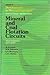 Mineral and Coal Flotation Circuits: Their Simulation and Control (DEVELOPMENTS IN MINERAL PROCESSING)