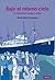 BAJO EL MISMO CIELO: El Winnipeg rumbo a Chile (Libro de Lectura Fácil) (Spanish Edition)
