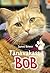 Tänavakass Bob