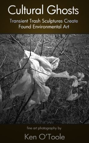 Cultural Ghosts:Transient Trash Sculptures Create Found Environmental Art (Kindle Edition)