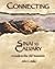 Connecting Sinai to Calvary: A Guide to the Old Testament