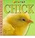 Chick (FunFax: Fold Out Floor Books)