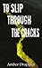 To Slip through the Cracks by Amber Drappier