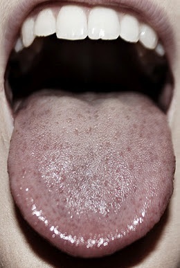 Hablaba y hablaba... (ebook)