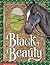 Black Beauty/Book and Necklace by M.J. Carr