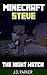 Minecraft Steve The Night W...