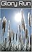 Glory Run